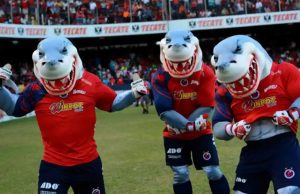 Hay 33 Tiburones Rojos del Veracruz