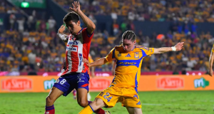 Liga MX: ¿Cuándo y dónde ver el Atlético San Luis vs Tigres?