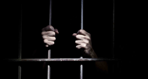 Detenidos presuntos miembros de la delincuencia en la huasteca
