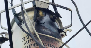 Paloma choca contra transformador en Reynosa