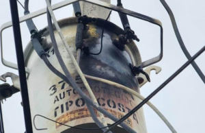 Paloma choca contra transformador en Reynosa