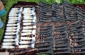 Ejército destruye 146 artefactos explosivos localizados en operativo en Sinaloa