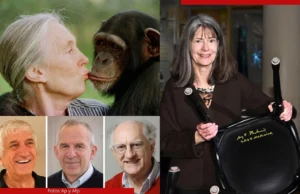 Ciencia, tecnología y pérdidas humanas marcaron el año Nobel 2025