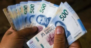 ONGs aportaron 3.3% del PIB en 2024, según el INEGI