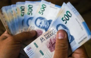 ONGs aportaron 3.3% del PIB en 2024, según el INEGI