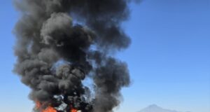 FGR destruye más de 370 kilos de droga asegurada en operativos de Nuevo León