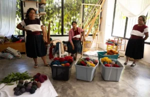 El sur lidera la reducción de la pobreza extrema en México (2018–2024)