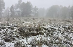 Registran caída de nieve en el Cerro del Potosí por frente frío