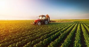 El campo mexicano enfrentará un 2026 crítico por recortes y dependencia externa