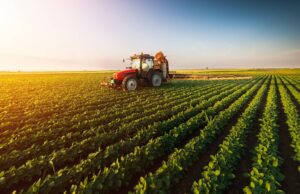 El campo mexicano enfrentará un 2026 crítico por recortes y dependencia externa