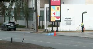 Fatal atropello paraliza carriles laterales de Lázaro Cárdenas