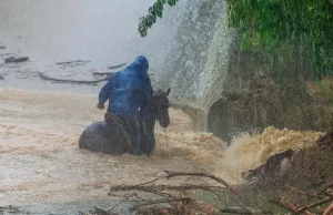 Tragedia en Los Tuxtlas: Una persona muere por intensas lluvias en Veracruz
