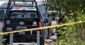 México reduce homicidios 37% y Nuevo León logra caída histórica del 67%