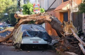 Sismo en Guerrero deja víctimas y daños; autoridades activan protocolos de emergencia