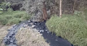 Vecinos denuncian persistente descarga de aguas negras al Río La Silla