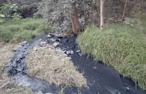 Vecinos denuncian persistente descarga de aguas negras al Río La Silla