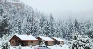 Tormenta invernal pinta de blanco zonas serranas de Chihuahua y Durango