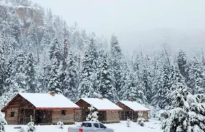 Tormenta invernal pinta de blanco zonas serranas de Chihuahua y Durango