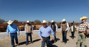 La UGRNL fortalece estrategias de comercialización tras visita a subasta en Tamaulipas