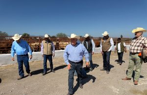 La UGRNL fortalece estrategias de comercialización tras visita a subasta en Tamaulipas