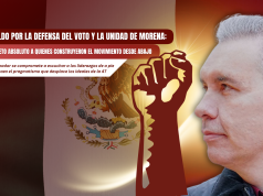 Waldo por la defensa del voto y la unidad de MORENA: Respeto absoluto a quienes construyeron el movimiento desde abajo