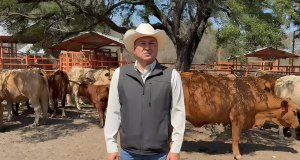 La Unión Ganadera Regional de Nuevo León aseguró que en el estado no existe riesgo de desabasto de ganado ni de carne para el consumo local