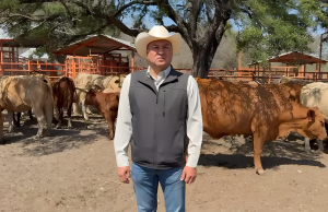 La Unión Ganadera Regional de Nuevo León aseguró que en el estado no existe riesgo de desabasto de ganado ni de carne para el consumo local
