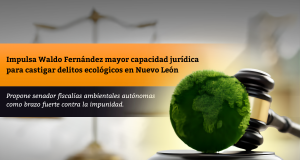 Impulsa Waldo Fernández mayor capacidad jurídica para castigar delitos ecológicos en Nuevo León