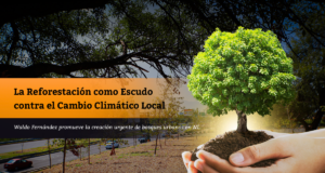 La Reforestación como Escudo contra el Cambio Climático Local