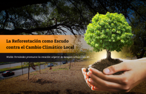 La Reforestación como Escudo contra el Cambio Climático Local