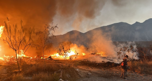 Nuevo León bajo fuego: se registran más de 300 incendios en una sola jornada