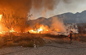 Nuevo León bajo fuego: se registran más de 300 incendios en una sola jornada