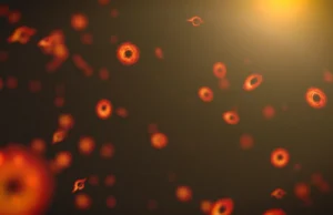 Explosión de agujero negro primordial explicaría origen del neutrino más energético de la historia