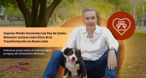 Impulsa Waldo Fernández Ley Pay de Limón: Bienestar Animal como Ética de la Transformación en Nuevo León
