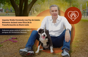 Impulsa Waldo Fernández Ley Pay de Limón: Bienestar Animal como Ética de la Transformación en Nuevo León