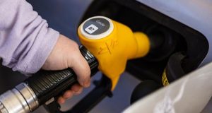 Greenpeace advierte riesgo de catástrofe ambiental en el Golfo Pérsico