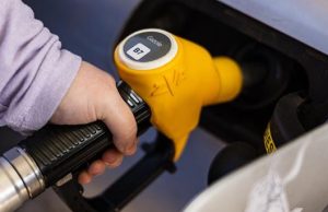 Greenpeace advierte riesgo de catástrofe ambiental en el Golfo Pérsico