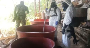 Golpean finanzas del narco: Desmantelan laboratorio en Guerrero