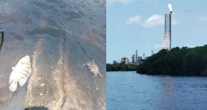 Pescadores en Paraíso reportan graves afectaciones por vertido en el Río Seco