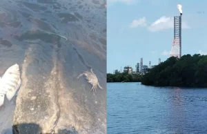 Pescadores en Paraíso reportan graves afectaciones por vertido en el Río Seco