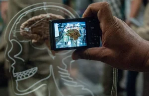 El cerebro consume el 20% de la energía y el oxígeno que respiramos