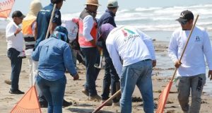 Pemex, Marina y Semarnat despliegan operativo tras derrame de hidrocarburo en Tabasco