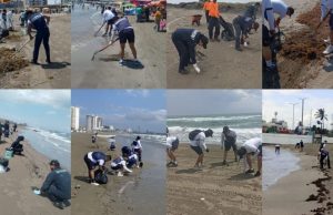 Retiran más de 700 toneladas de crudo en el Golfo de México