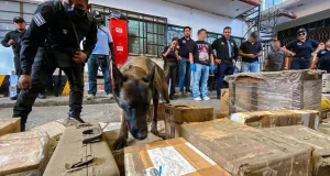 Fiscalía de Oaxaca detecta tráfico de drogas y armas en empresas de paquetería