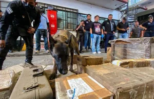 Fiscalía de Oaxaca detecta tráfico de drogas y armas en empresas de paquetería