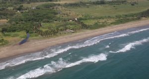 Semarnat asegura que arrecifes de Veracruz están libres de hidrocarburos
