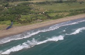 Semarnat asegura que arrecifes de Veracruz están libres de hidrocarburos