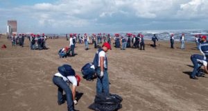 Retiran más de 880 toneladas de hidrocarburo en playas del Golfo de México