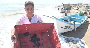 Sheinbaum alista reunión con científicos por derrame de hidrocarburos en el Golfo