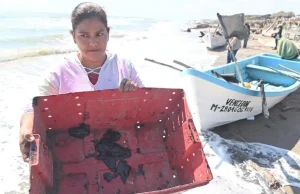 Sheinbaum alista reunión con científicos por derrame de hidrocarburos en el Golfo